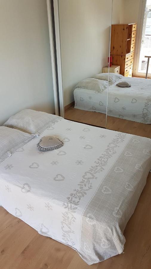 Tres Beau 3 Pieces Spacieux Lumineux Et Climatise 尼斯 外观 照片